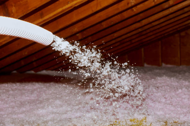 Best Commercial Insulation in Palos Verdes Estates, CA
