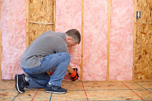 Best Insulation for Specific Applications in Palos Verdes Estates, CA